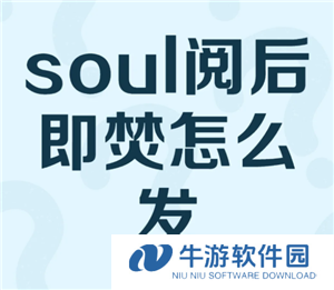 soul阅后即焚图片怎么发 soul阅后即焚开启方法怎么没找到