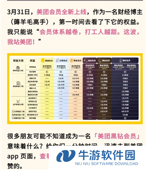 美团黑金会员怎么获得 美团黑金会员需要消费多少钱