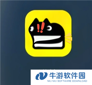 猫箱怎么开启羞涩模式 猫箱羞涩模式最简单三个步骤