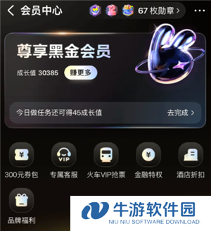 美团黑金会员怎么获得 美团黑金会员需要消费多少钱