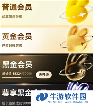 美团黑钻会员怎么获得 美团黑钻会员要消费多少钱