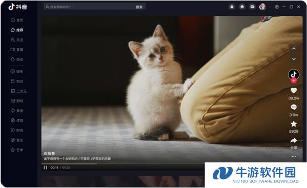 抖音车机版3