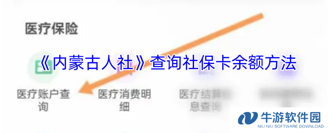 《内蒙古人社》查询社保卡余额方法