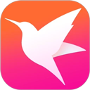 迅雷直播app正版