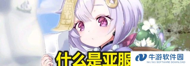 原神亚服和国服可以一起玩吗