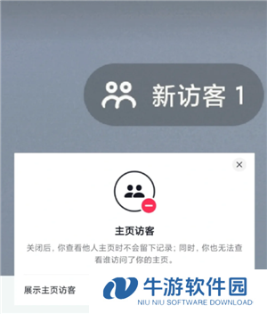 抖音访客一开一关有记录吗 抖音访客显示1点开却没有怎么回事