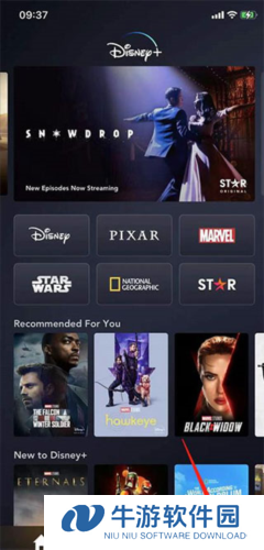 disney+4