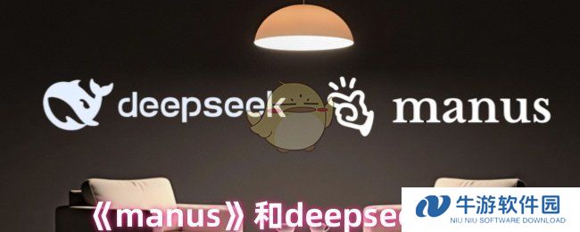 《manus》和deepseek区别