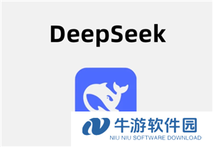 deepSeek在线服务会导致数据泄露吗 deepSeek在线使用与api使用区别