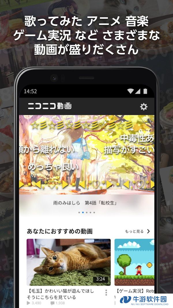 n站