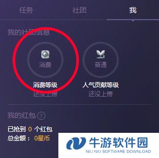 社团消费等级