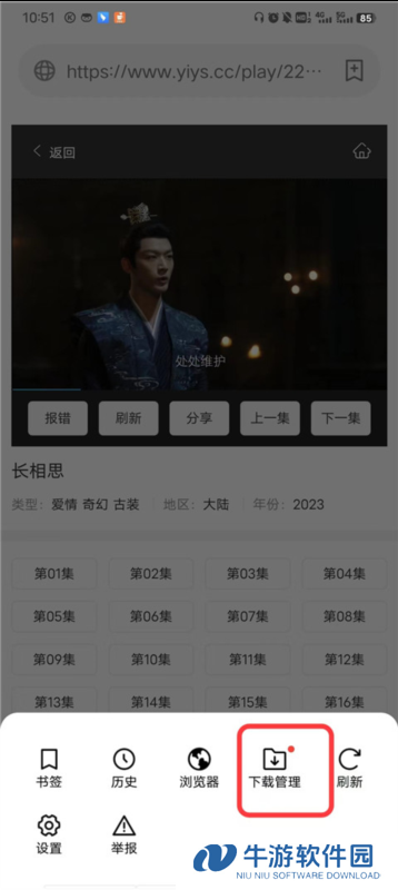 茶杯狐17