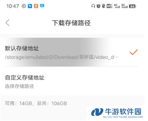 茶杯狐19