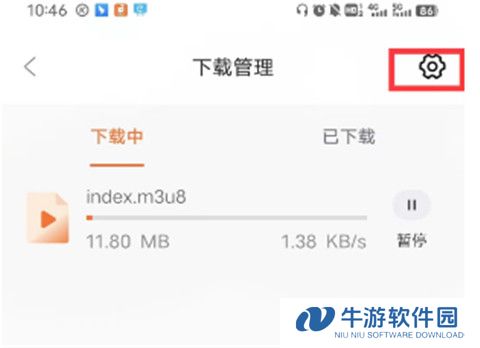 茶杯狐18