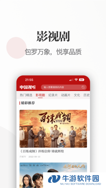 中国视听