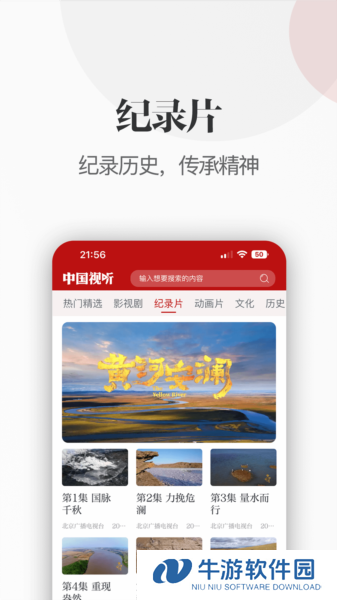 中国视听