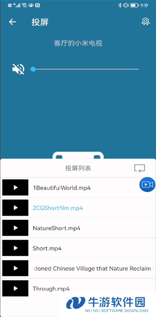 TV投屏助手9