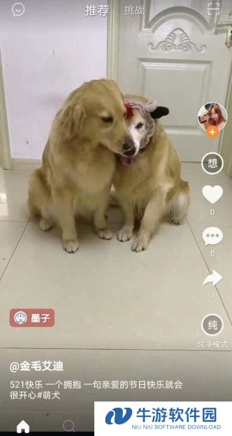 高手短视频1